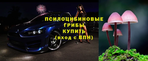 бошки Абаза