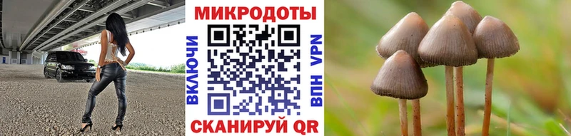 сколько стоит  Тихорецк  Галлюциногенные грибы прущие грибы 